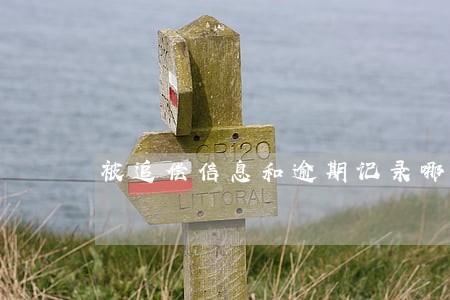 被追偿信息和逾期记录哪个严重 被追偿信息和逾期记录哪个严重