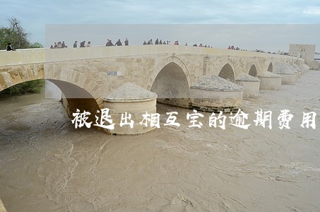 被退出相互宝的逾期费用怎么交 被退出相互宝的逾期费用怎么交