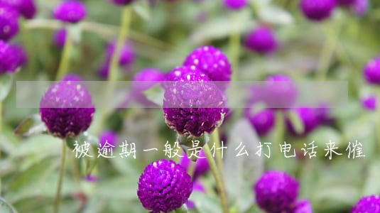 被逾期一般是什么打电话来催 被逾期一般是什么打电话来催