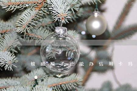 被逾期了还能办信用卡吗 被逾期了还能办信用卡吗