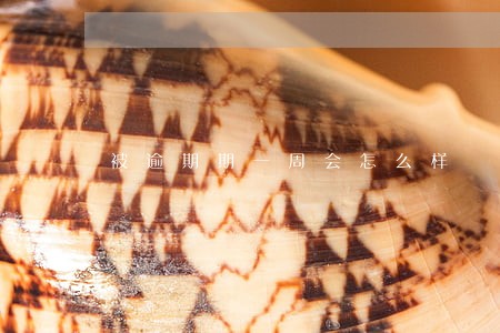 被逾期期一周会怎么样