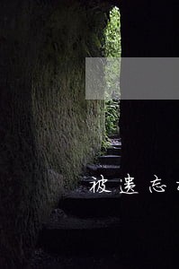 被遗忘权的情景及展开