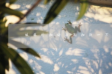 被银行扣错逾期扣款一万多
