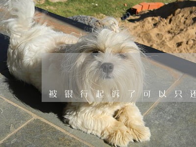 被银行起诉了可以只还本金吗
