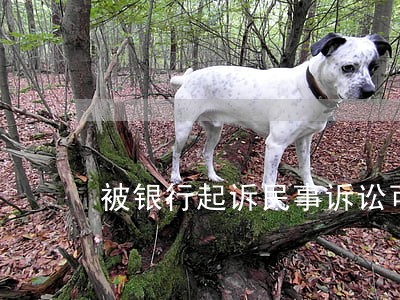被银行起诉民事诉讼可以出国吗