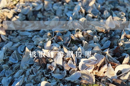 被银行逾期拉黑 被银行逾期拉黑
