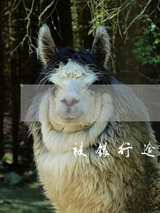被银行逾期拉黑名单吗 被银行逾期拉黑名单吗