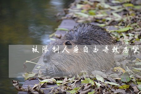 被限制人身自由导致房贷逾期 被限制人身自由导致房贷逾期