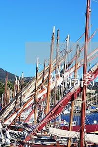 被隔离征信逾期怎么消除 被隔离征信逾期怎么消除