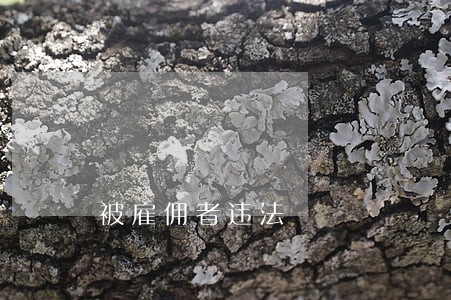 被雇佣者违法 被雇佣者违法