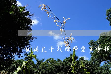 被骗几千找律师要多少钱