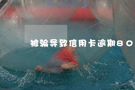 被骗导致信用卡逾期80万