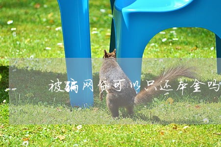 被骗网贷可以只还本金吗 被骗网贷可以只还本金吗