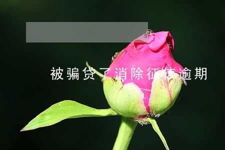 被骗贷了消除征信逾期 被骗贷了消除征信逾期