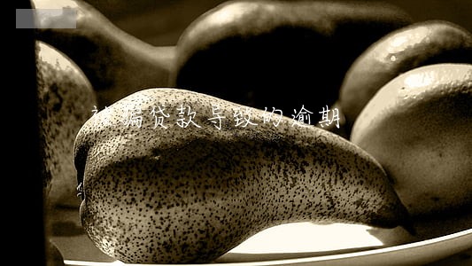 被骗贷款导致的逾期 被骗贷款导致的逾期