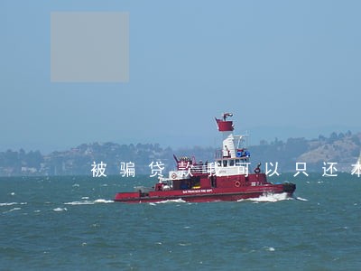 被骗贷款我可以只还本金吗 被骗贷款我可以只还本金吗
