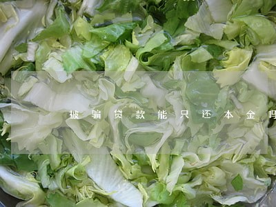 被骗贷款能只还本金吗 被骗贷款能只还本金吗