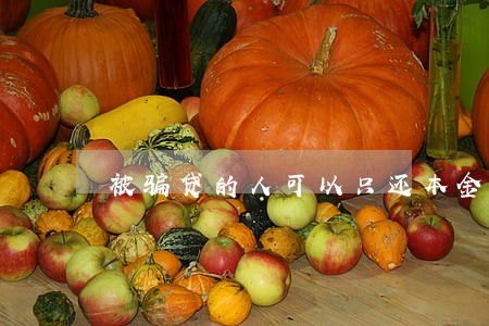 被骗贷的人可以只还本金吗 被骗贷的人可以只还本金吗
