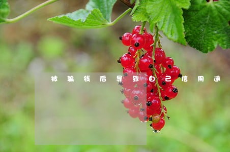 被骗钱后导致自己信用逾期 被骗钱后导致自己信用逾期