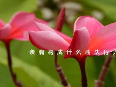 袭胸构成什么违法行为 袭胸构成什么违法行为