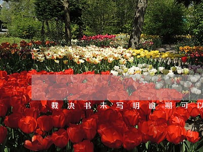 裁决书未写明逾期可以强制执行 裁决书未写明逾期可以强制执行