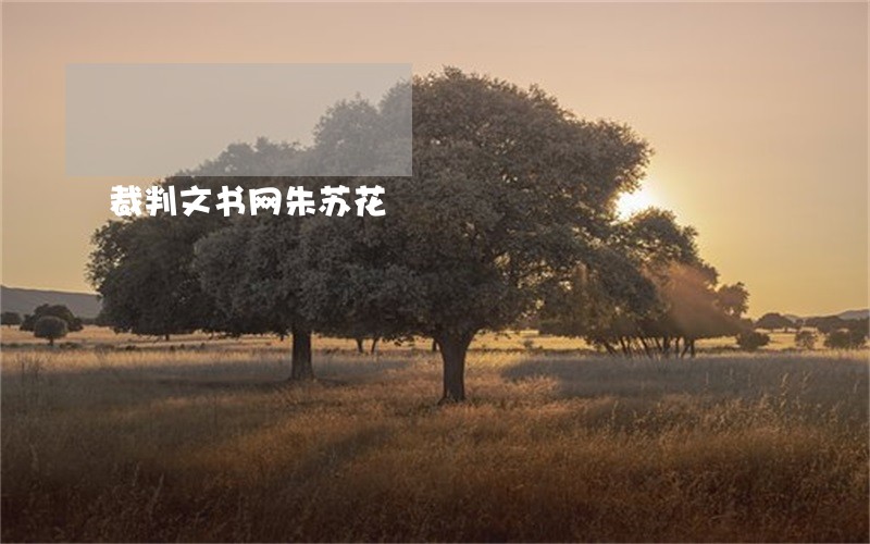 裁判文书网朱苏花