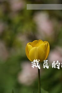 裁员的法律意见书 裁员的法律意见书