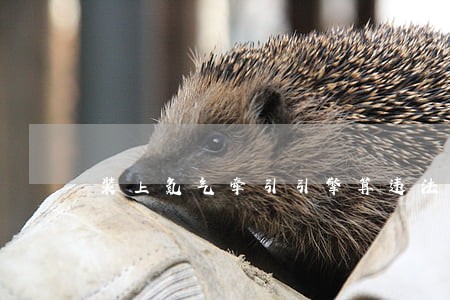 装上氮气牵引引擎算违法吗