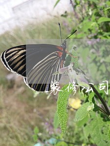 装修公司不断逾期怎么办 装修公司不断逾期怎么办