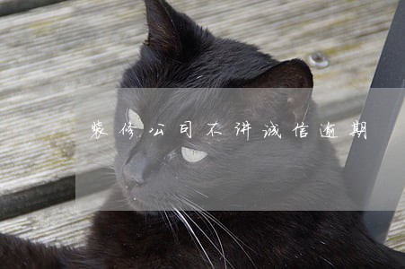 装修公司不讲诚信逾期 装修公司不讲诚信逾期