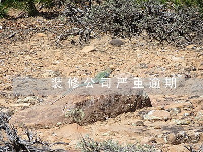 装修公司严重逾期 装修公司严重逾期