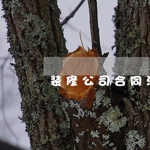 装修公司合同没有写逾期金额 装修公司合同没有写逾期金额