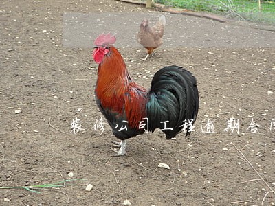 装修公司工程逾期合同无约定 装修公司工程逾期合同无约定