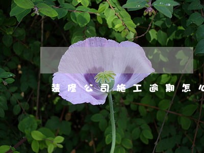 装修公司施工逾期怎么处理 装修公司施工逾期怎么处理