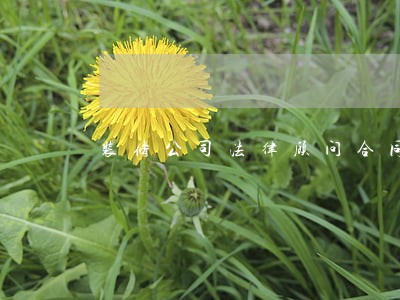 装修公司法律顾问合同 装修公司法律顾问合同