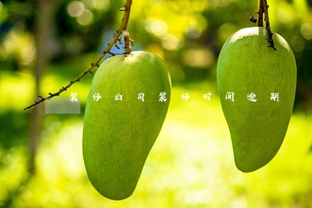 装修公司装修时间逾期 装修公司装修时间逾期