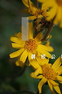 装修公司逾期一个月如何维权 装修公司逾期一个月如何维权