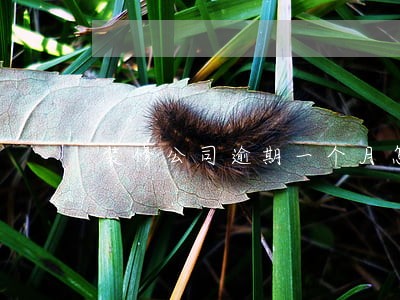 装修公司逾期一个月怎么办 装修公司逾期一个月怎么办
