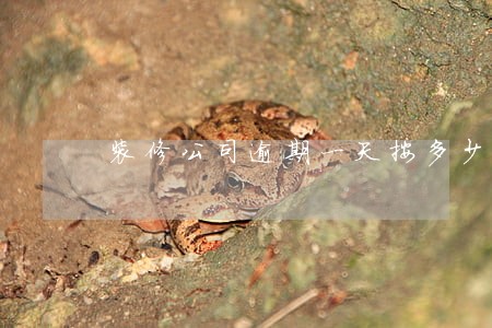 装修公司逾期一天按多少计算 装修公司逾期一天按多少计算