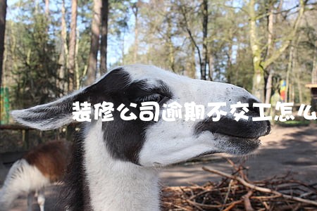 装修公司逾期不交工怎么赔款 装修公司逾期不交工怎么赔款