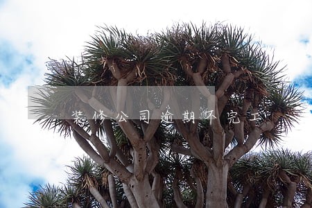 装修公司逾期不完工 装修公司逾期不完工