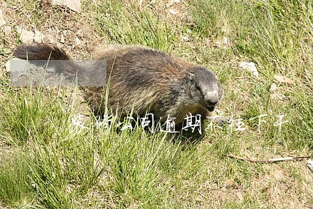 装修公司逾期不往下干 装修公司逾期不往下干