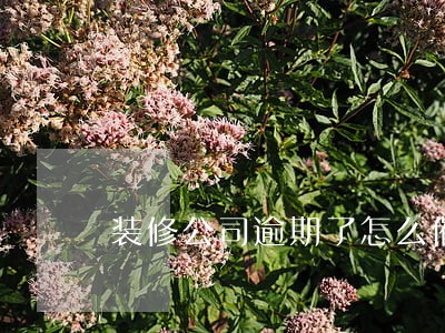 装修公司逾期了怎么催 装修公司逾期了怎么催