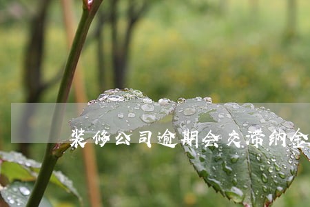 装修公司逾期会交滞纳金么 装修公司逾期会交滞纳金么