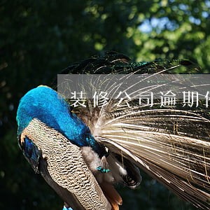 装修公司逾期催收短信模板 装修公司逾期催收短信模板