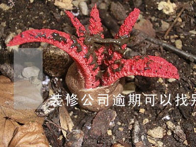 装修公司逾期可以找别人做吗 装修公司逾期可以找别人做吗