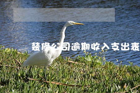 装修公司逾期收入支出表 装修公司逾期收入支出表