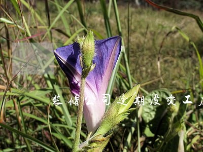 装修公司逾期没交工应该怎么办 装修公司逾期没交工应该怎么办