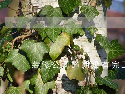 装修公司逾期没有完工拖工期 装修公司逾期没有完工拖工期