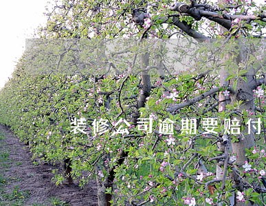 装修公司逾期要赔付房租吗 装修公司逾期要赔付房租吗